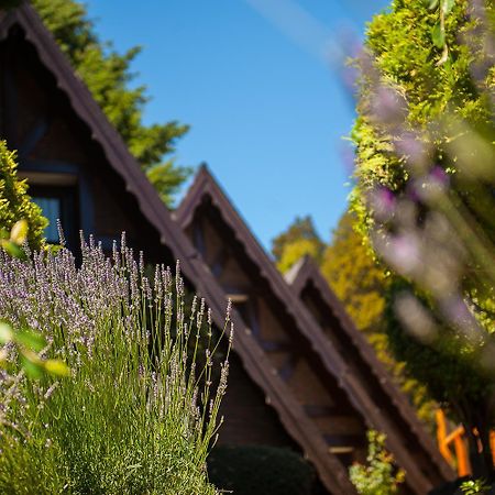 卡瓦尼亚斯安迪胡山林小屋 San Martín de los Andes 外观 照片